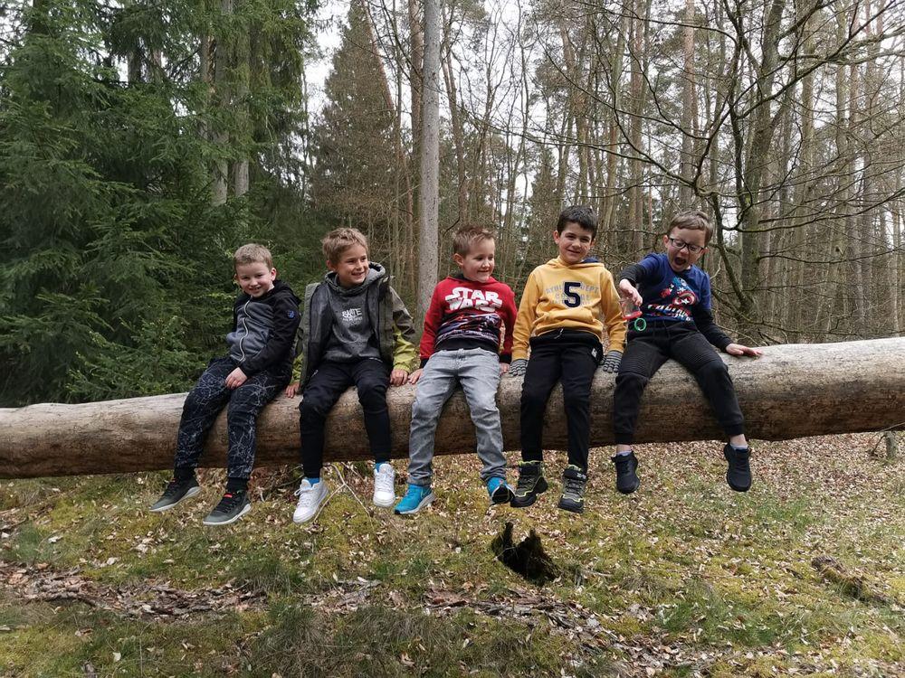 Kindergeburtstag im Wald