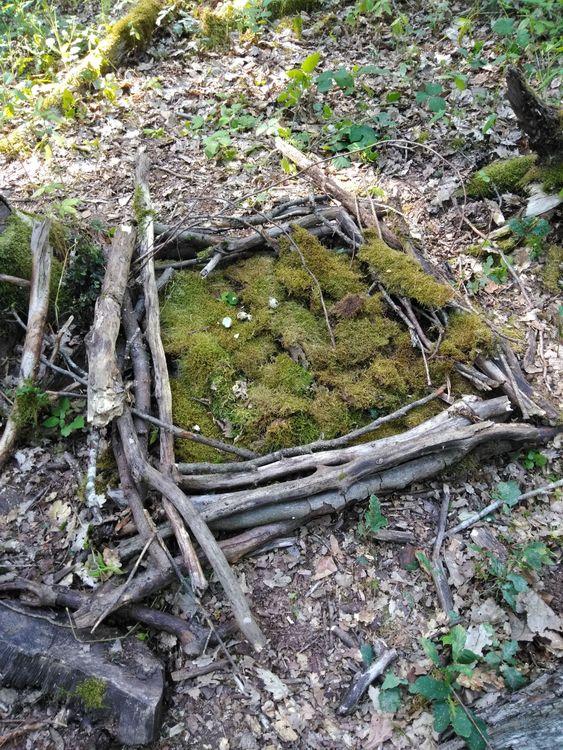 Vogelspiel / Vogelnest bauen