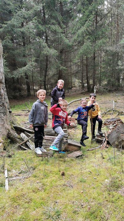 Kindergeburtstag im Wald