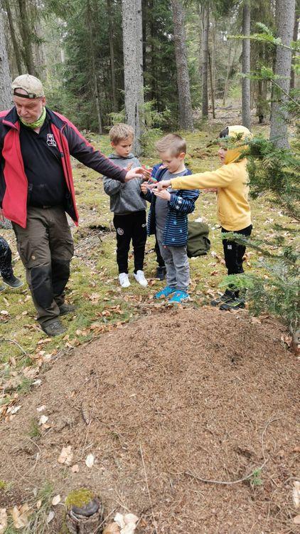 Kindergeburtstag im Wald