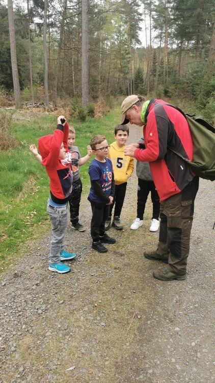 Kindergeburtstag im Wald