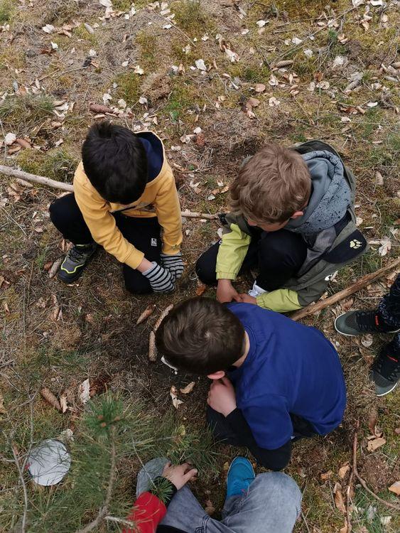 Kindergeburtstag im Wald