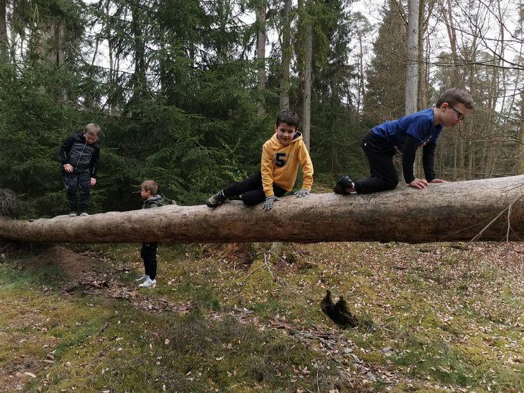 Kindergeburtstag im Wald