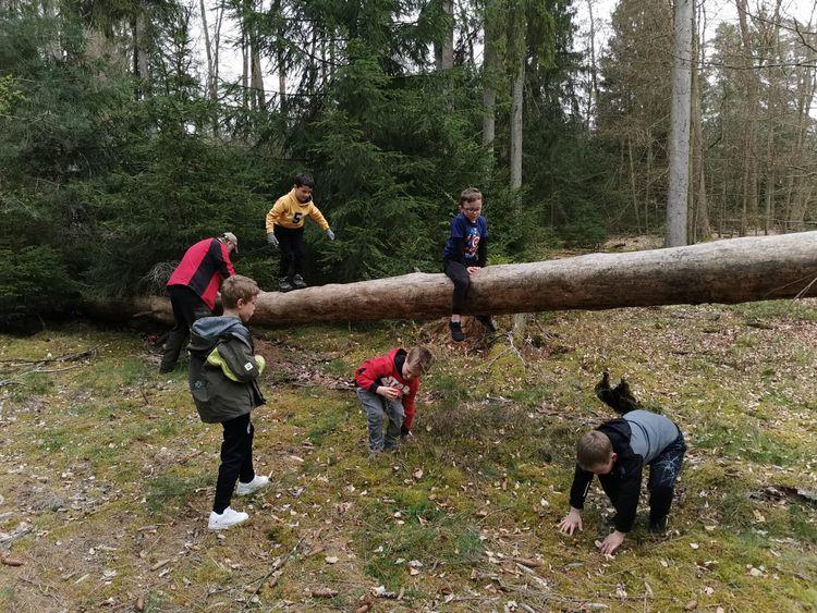 Kindergeburtstag im Wald