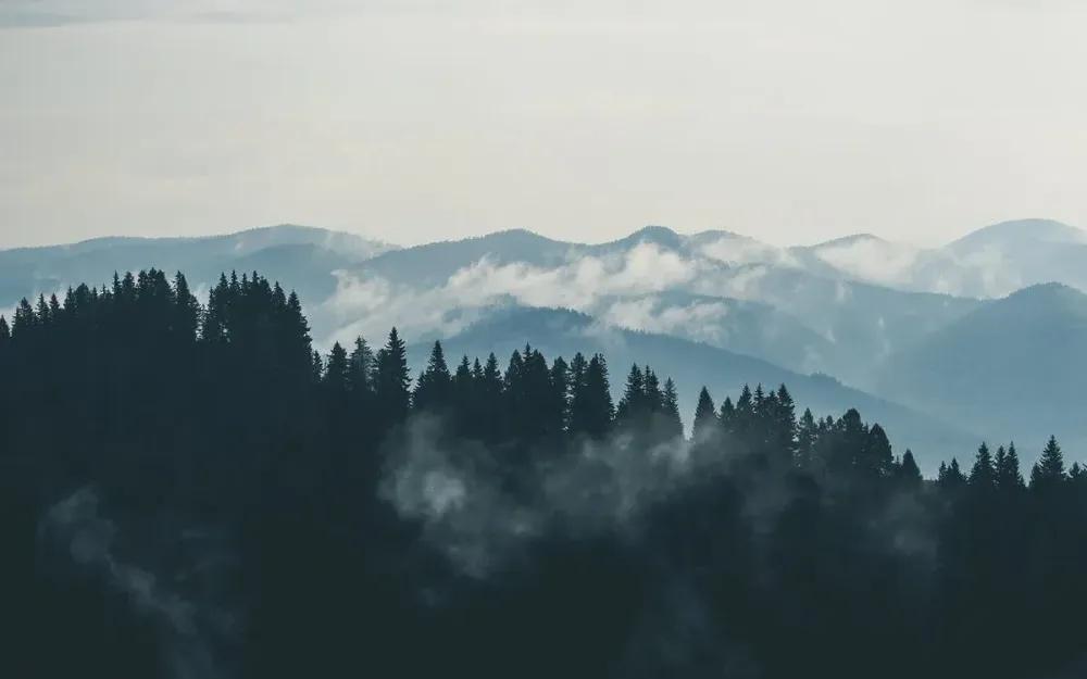 mountains-clouds-forest-fog.webp